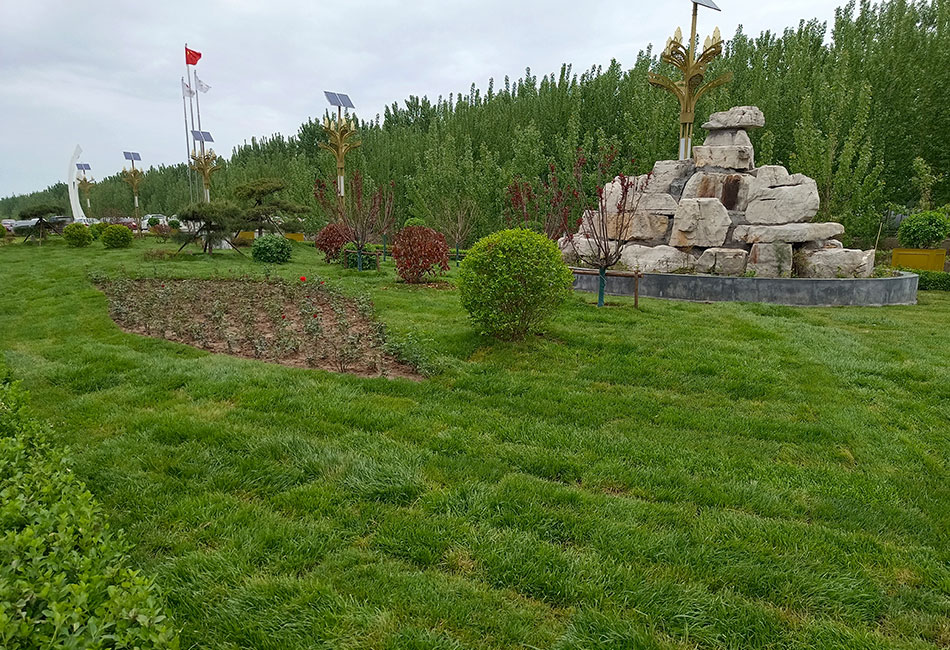 厂区照片