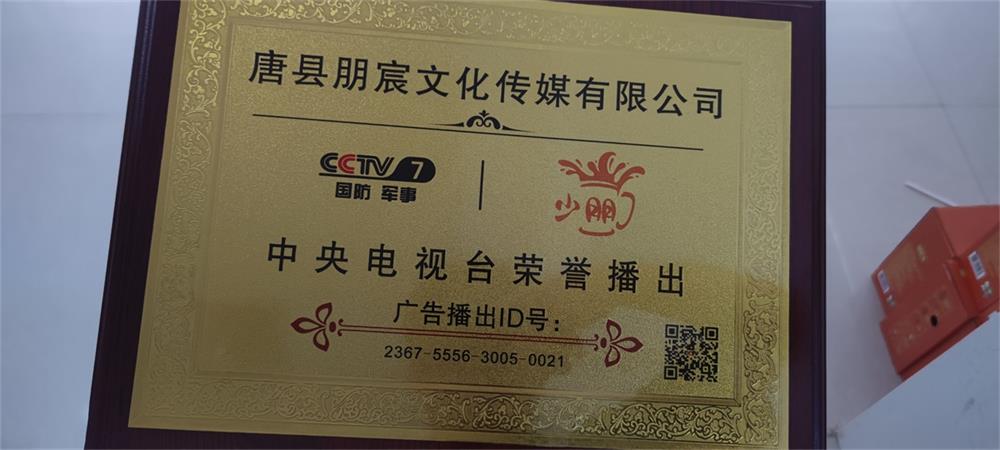 广告播出证明