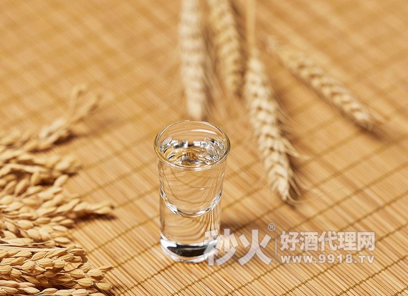 国琅•仁酱香型白酒