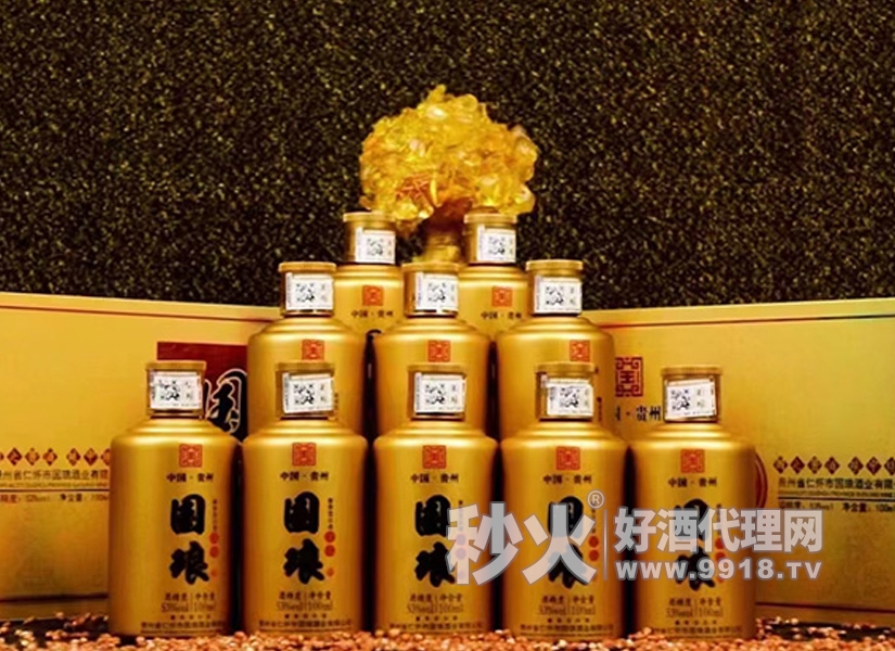 国琅•贵礼53度酱香型白酒