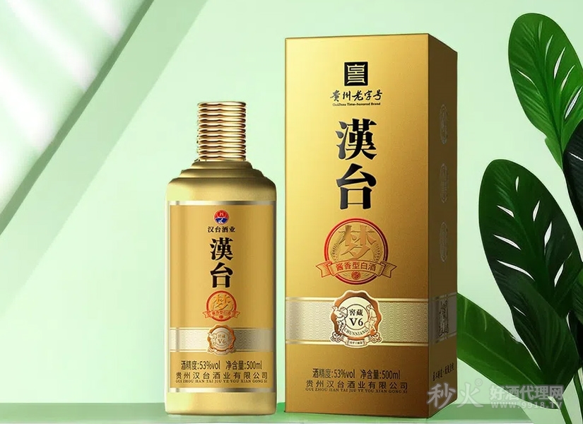 汉台窖藏V6酱香型白酒