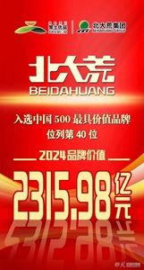 入选中国500最具价值品牌位列第40位